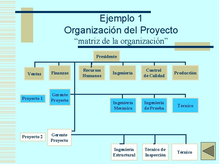 Ejemplo 1 Organización del Proyecto “matriz de la organización” Presidente Ventas Proyecto 1 Proyecto