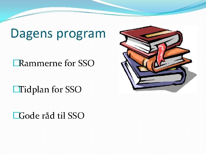 Dagens program �Rammerne for SSO �Tidplan for SSO �Gode råd til SSO 