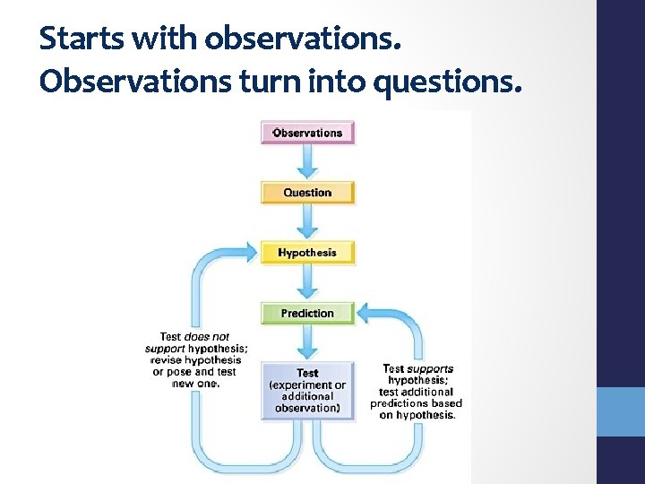 Starts with observations. Observations turn into questions. 