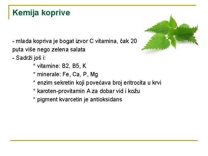 Kemija koprive - mlada kopriva je bogat izvor C vitamina, čak 20 puta više