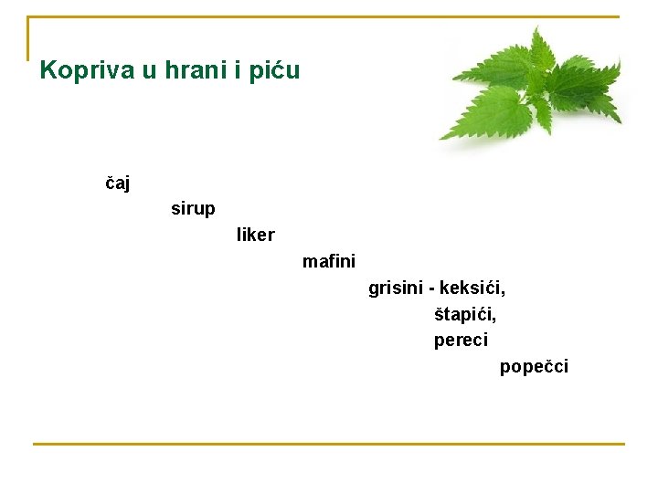 Kopriva u hrani i piću čaj sirup liker mafini grisini - keksići, štapići, pereci