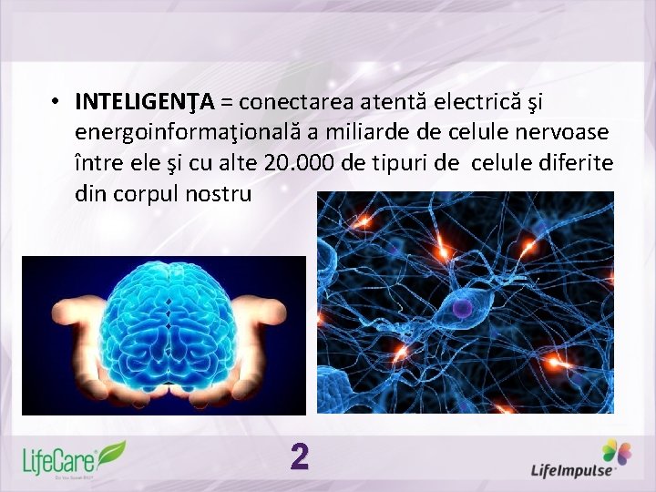  • INTELIGENŢA = conectarea atentă electrică şi energoinformaţională a miliarde de celule nervoase