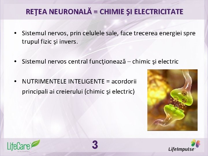 REŢEA NEURONALĂ = CHIMIE ŞI ELECTRICITATE • Sistemul nervos, prin celulele sale, face trecerea