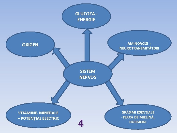 GLUCOZA ENERGIE AMINOACIZI NEUROTRANSMIŢĂTORI OXIGEN SISTEM NERVOS VITAMINE, MINERALE – POTENŢIAL ELECTRIC 4 GRĂSIMI