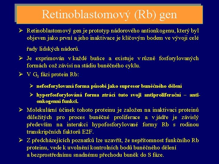 Retinoblastomový (Rb) gen Ø Retinoblastomový gen je prototyp nádorového antionkogenu, který byl objeven jako