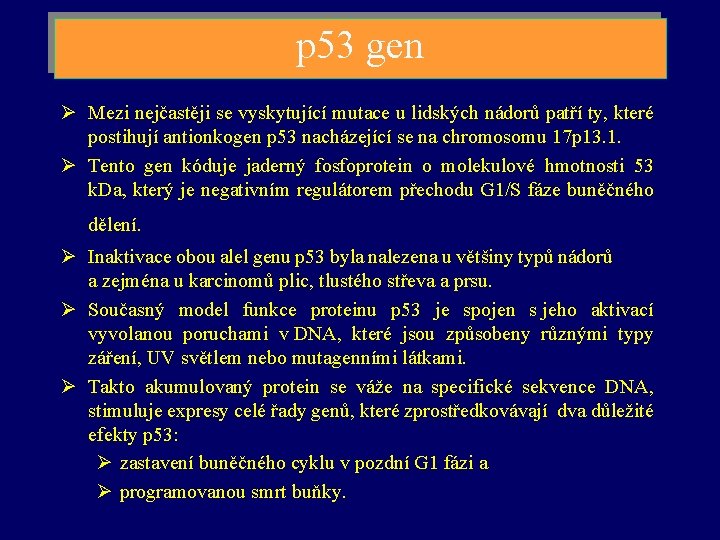 p 53 gen Ø Mezi nejčastěji se vyskytující mutace u lidských nádorů patří ty,