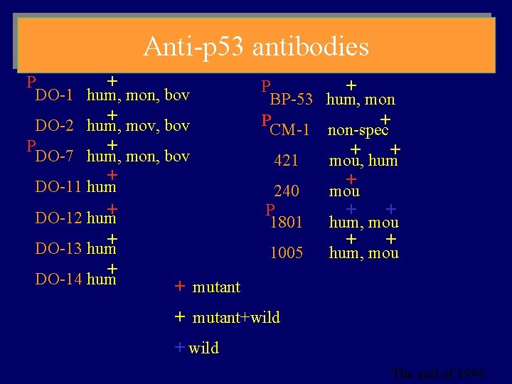 Anti-p 53 antibodies P + DO-1 hum, mon, bov + DO-2 hum, mov, bov