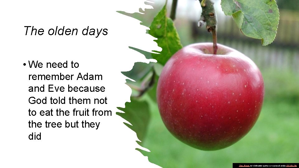The olden days • We need to remember Adam and Eve because God told