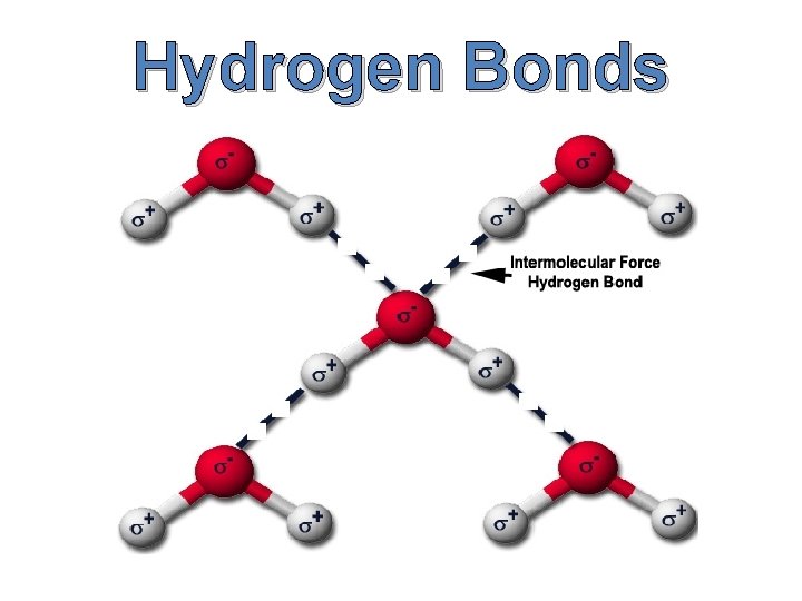 Hydrogen Bonds Hydrogen Bonds