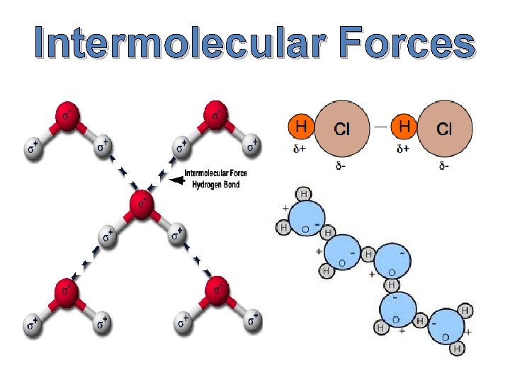 Intermolecular Forces Intermolecular Forces