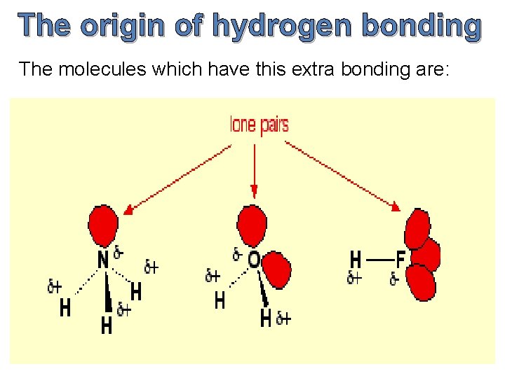The origin of hydrogen bonding The molecules which have this extra bonding are: The origin of hydrogen bonding The molecules which have this extra bonding are: