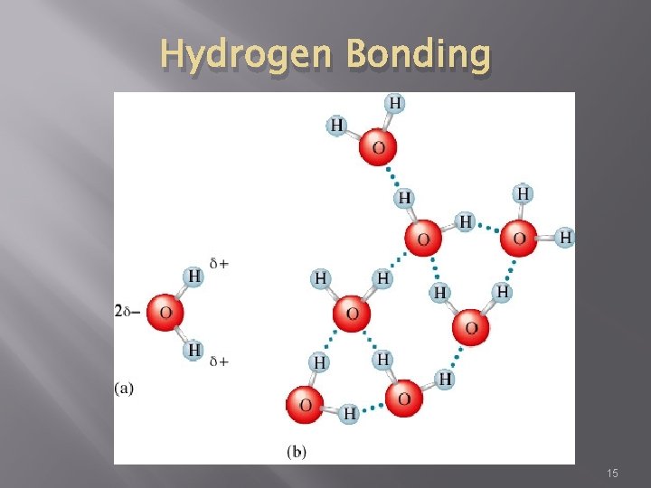 Hydrogen Bonding 15 