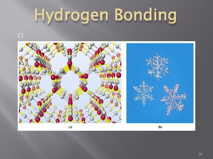 Hydrogen Bonding � 20 