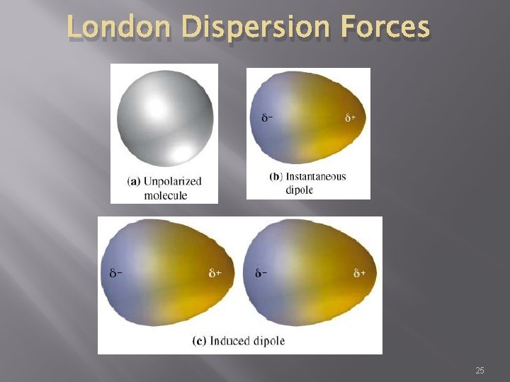 London Dispersion Forces 25 