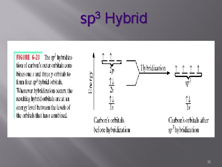 sp 3 Hybrid 36 