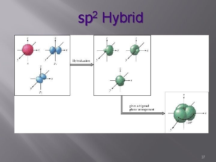 sp 2 Hybrid 37 