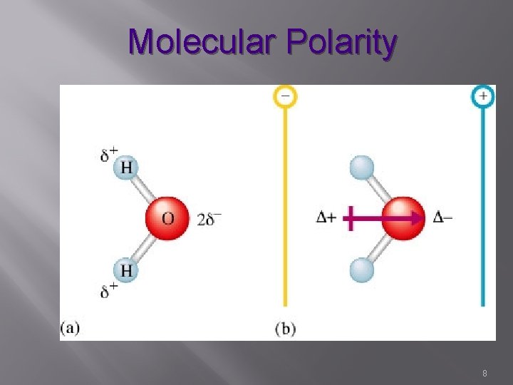 Molecular Polarity 8 