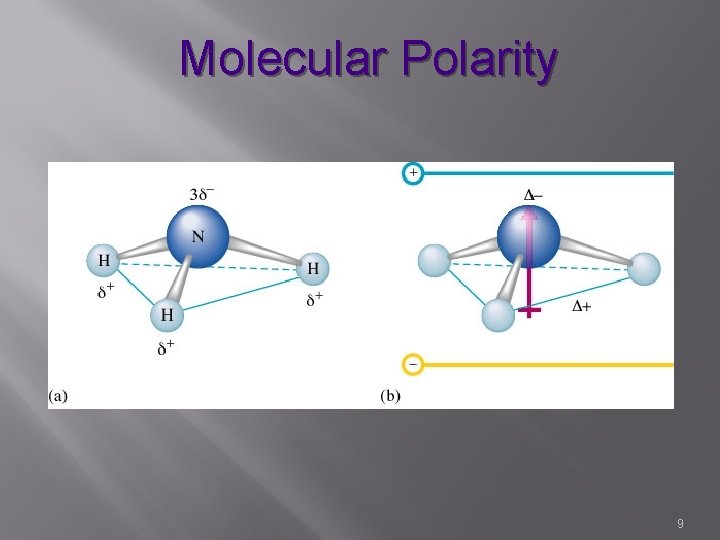 Molecular Polarity 9 