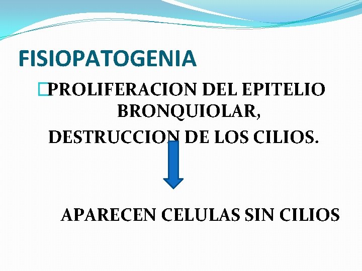 FISIOPATOGENIA �PROLIFERACION DEL EPITELIO BRONQUIOLAR, DESTRUCCION DE LOS CILIOS. APARECEN CELULAS SIN CILIOS 