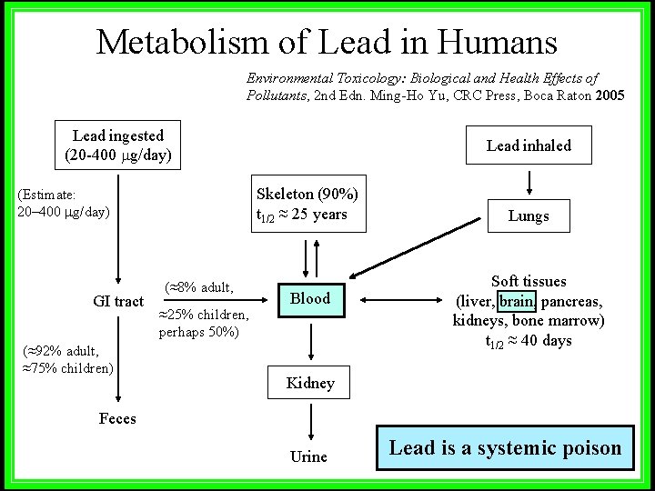 Metabolism of Lead in Humans Environmental Toxicology: Biological and Health Effects of Pollutants, 2