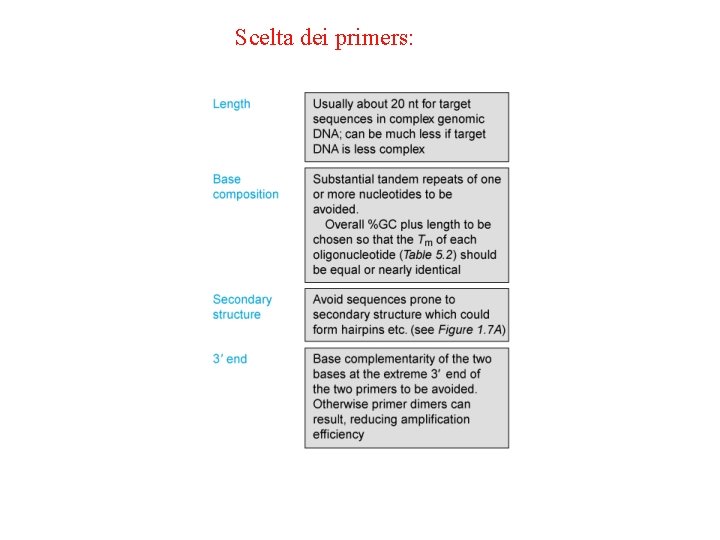 Scelta dei primers: 