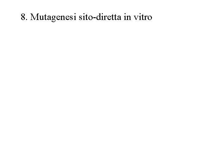 8. Mutagenesi sito-diretta in vitro 
