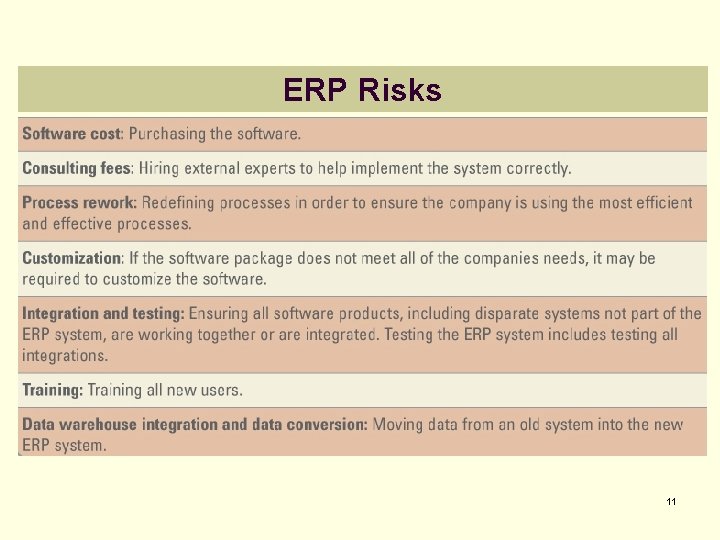ERP Risks 11 