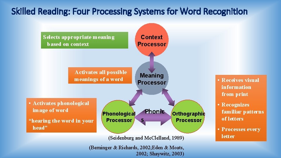 Skilled Reading: Four Processing Systems for Word Recognition Selects appropriate meaning based on context