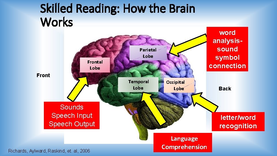 Skilled Reading: How the Brain Works Frontal Lobe Front Parietal Lobe Temporal Lobe Occipital