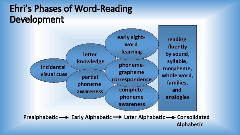 Ehri’s Phases of Word-Reading Development incidental visual cues Prealphabetic letter knowledge partial phoneme awareness