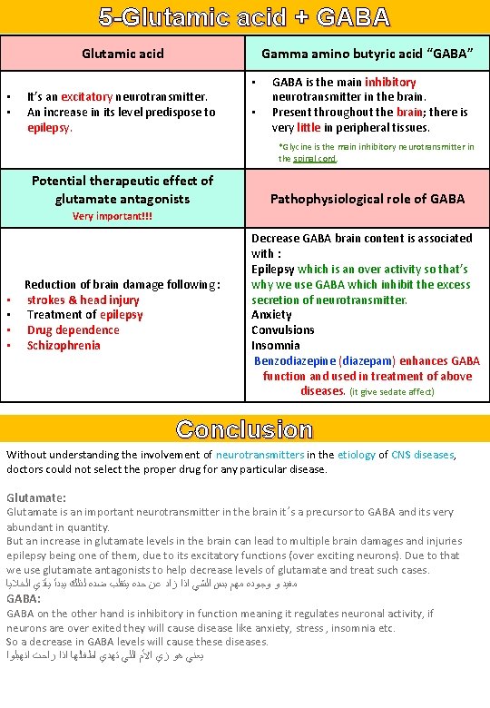 5 -Glutamic acid + GABA Glutamic acid Gamma amino butyric acid “GABA” • •