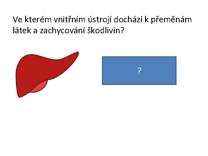 Ve kterém vnitřním ústrojí dochází k přeměnám látek a zachycování škodlivin? Je to v