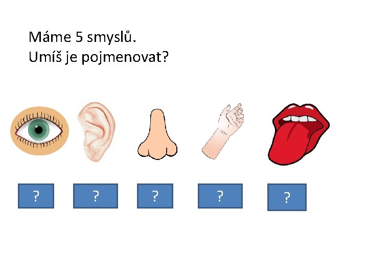 Máme 5 smyslů. Umíš je pojmenovat? ? zrak ? sluch ? čich ? hmat