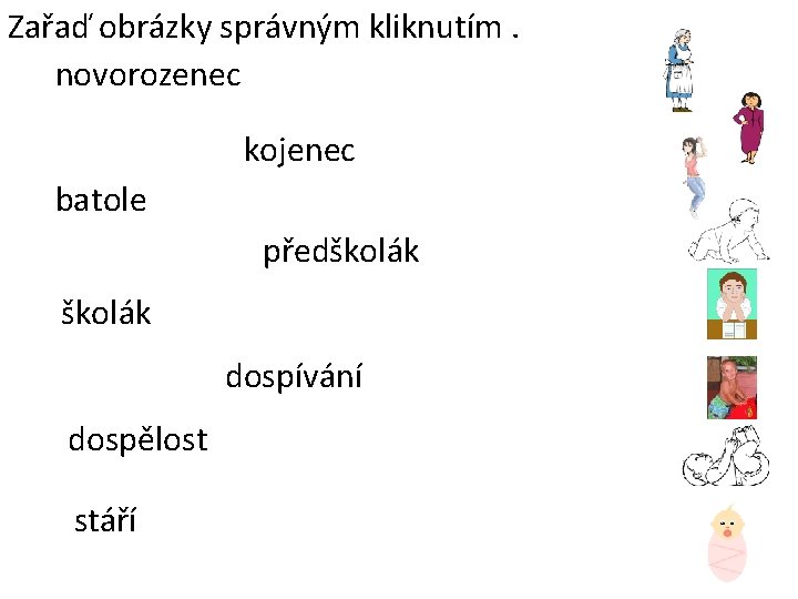 Zařaď obrázky správným kliknutím. novorozenec kojenec batole předškolák dospívání dospělost stáří 