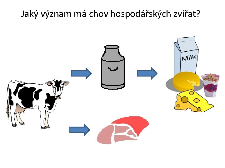 Jaký význam má chov hospodářských zvířat? 