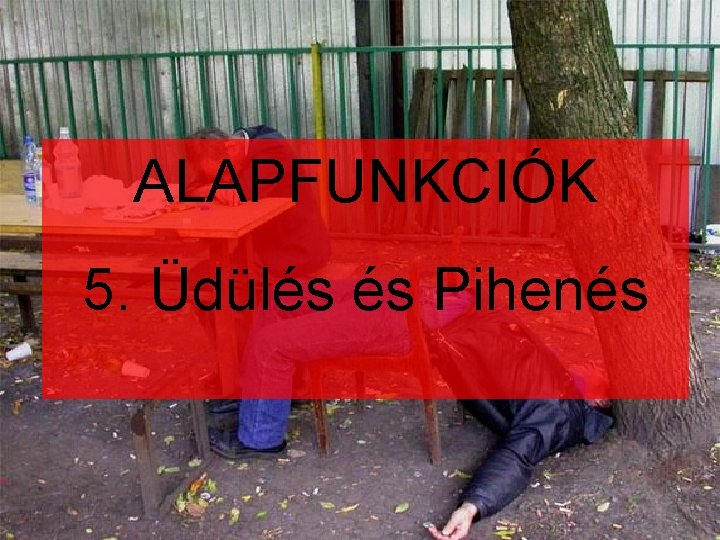 ALAPFUNKCIÓK 5. Üdülés és Pihenés 