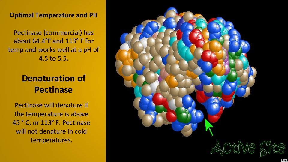 Pectinase An Enzyme By Jack Carroll Abstract Pectinase
