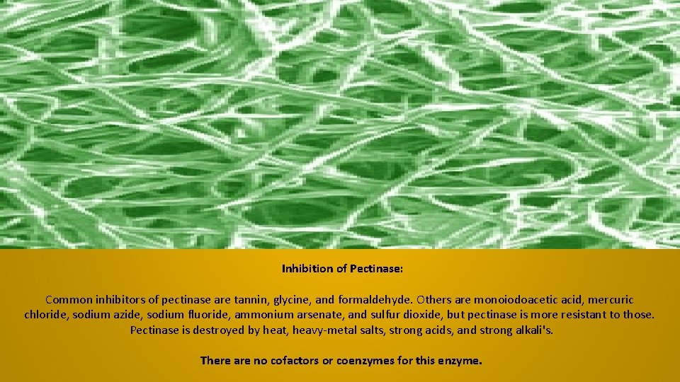 Inhibition of Pectinase: Common inhibitors of pectinase are tannin, glycine, and formaldehyde. Others are