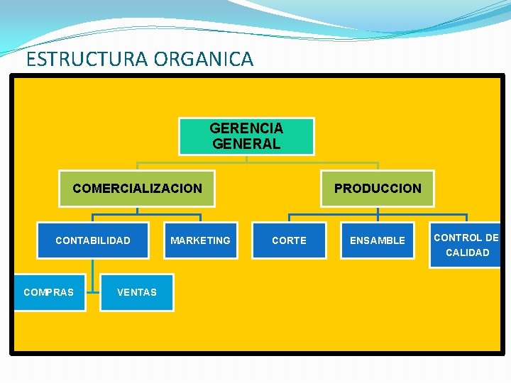 ESTRUCTURA ORGANICA GERENCIA GENERAL COMERCIALIZACION CONTABILIDAD MARKETING PRODUCCION CORTE ENSAMBLE CONTROL DE CALIDAD COMPRAS