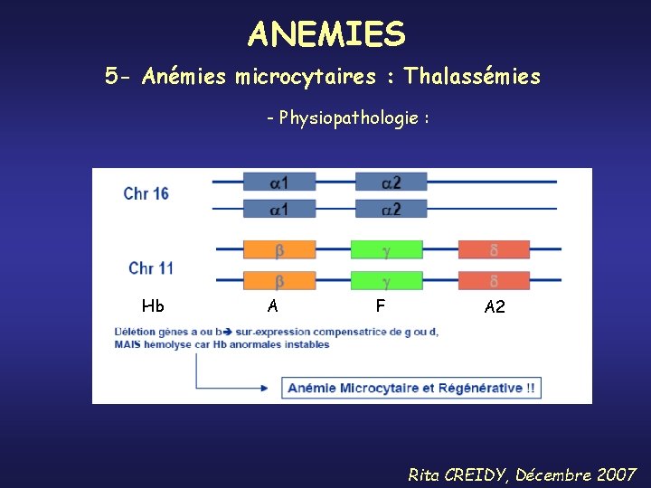 ANEMIES 5 - Anémies microcytaires : Thalassémies - Physiopathologie : Hb A F A