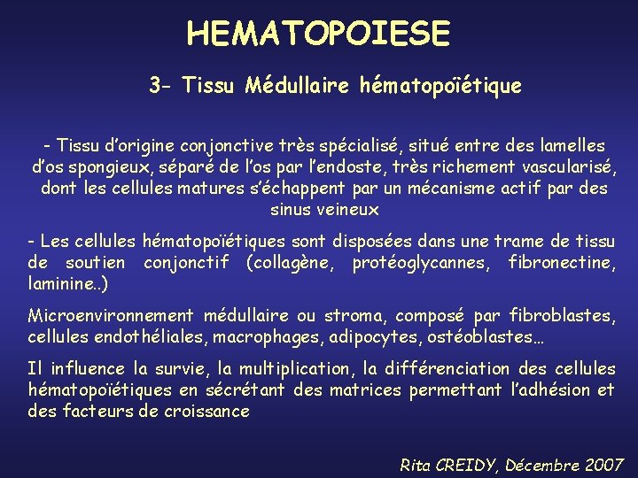 HEMATOPOIESE 3 - Tissu Médullaire hématopoïétique - Tissu d’origine conjonctive très spécialisé, situé entre