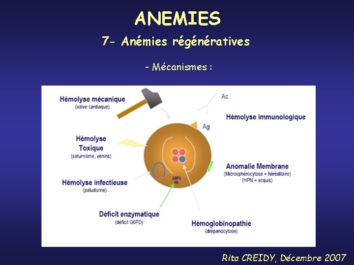 ANEMIES 7 - Anémies régénératives - Mécanismes : Rita CREIDY, Décembre 2007 