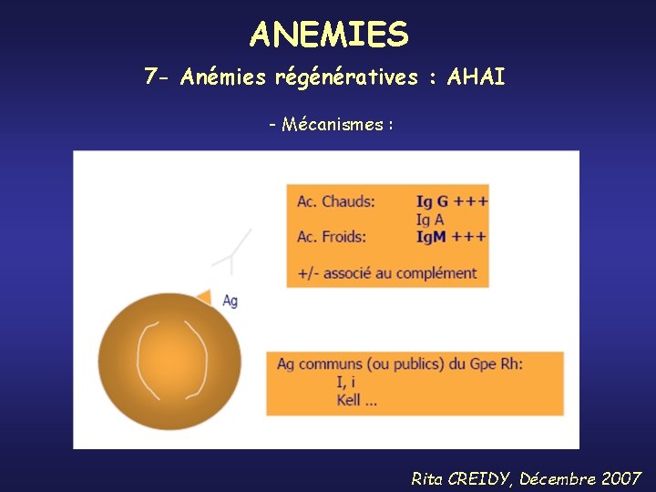 ANEMIES 7 - Anémies régénératives : AHAI - Mécanismes : Rita CREIDY, Décembre 2007