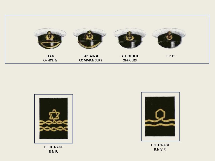 FLAG OFFICERS LIEUTENANT R. N. R. CAPTAIN & COMMANDERS ALL OTHER OFFICERS C. P.
