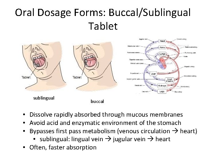 Oral Dosage Forms: Buccal/Sublingual Tablet sublingual buccal • Dissolve rapidly absorbed through mucous membranes