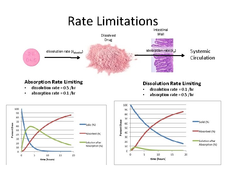 Rate Limitations Intestinal Wall Dissolved Drug absorption rate (ka) dissolution rate (kdissolve) Absorption Rate