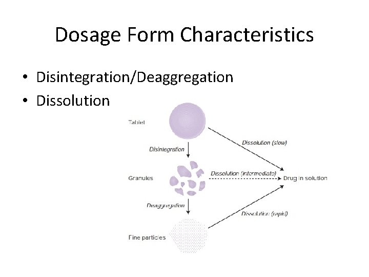 Dosage Form Characteristics • Disintegration/Deaggregation • Dissolution 