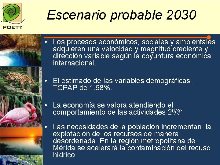 Escenario probable 2030 • Los procesos económicos, sociales y ambientales adquieren una velocidad y