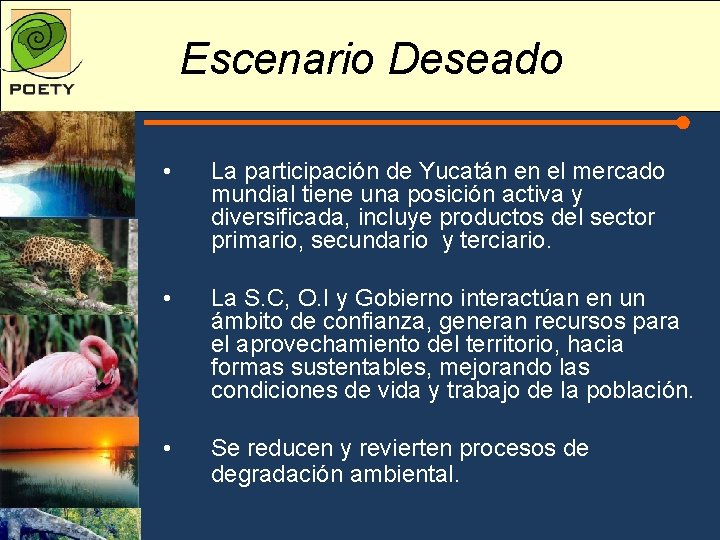 Escenario Deseado • La participación de Yucatán en el mercado mundial tiene una posición