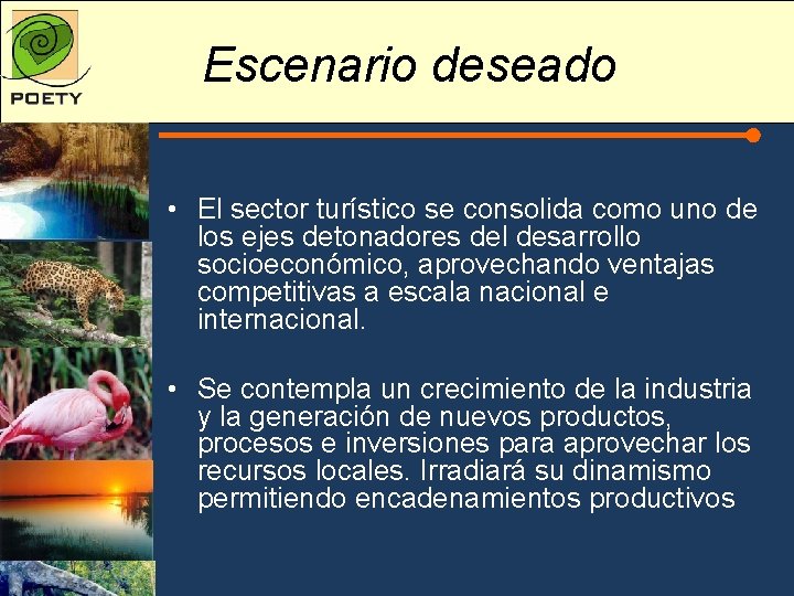 Escenario deseado • El sector turístico se consolida como uno de los ejes detonadores